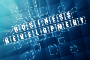 【英語必須※1500万円】Business Development Executive