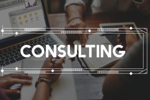 Data and Insights Consultant